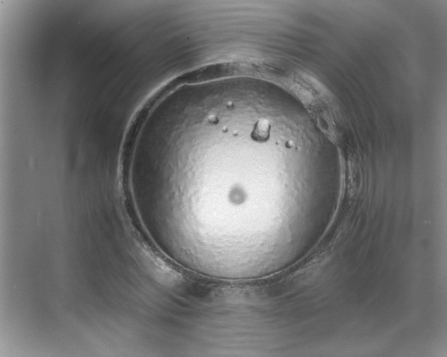 X0000070430780200606161503