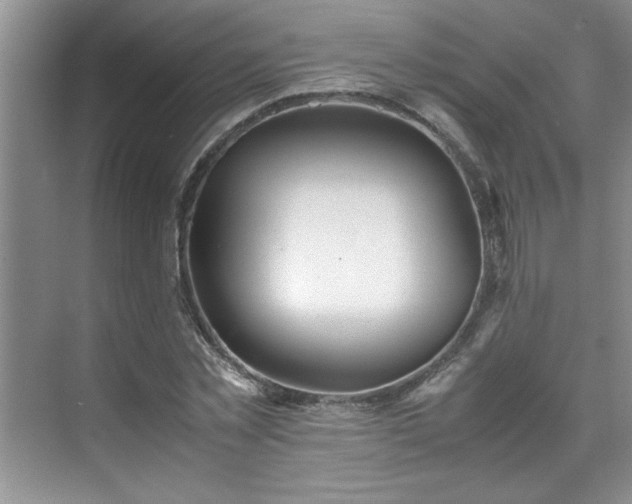 X0000070430781200606161503