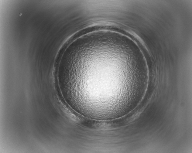 X0000070430783200606161503