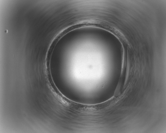 X0000070430784200606161503