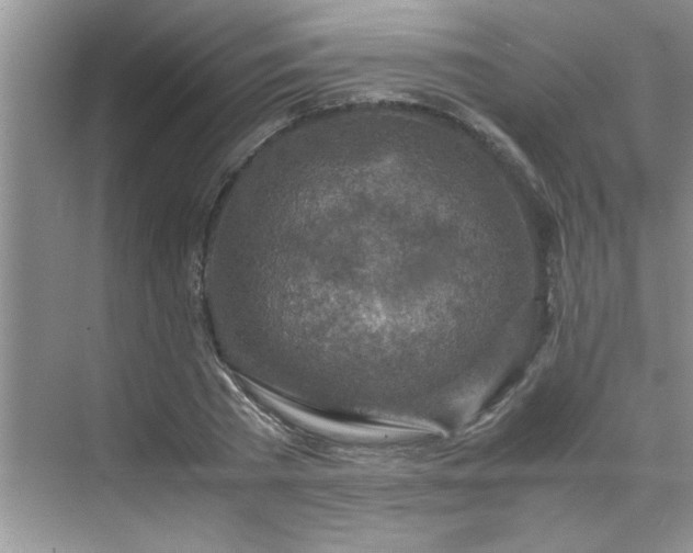 X0000070430785200606161503