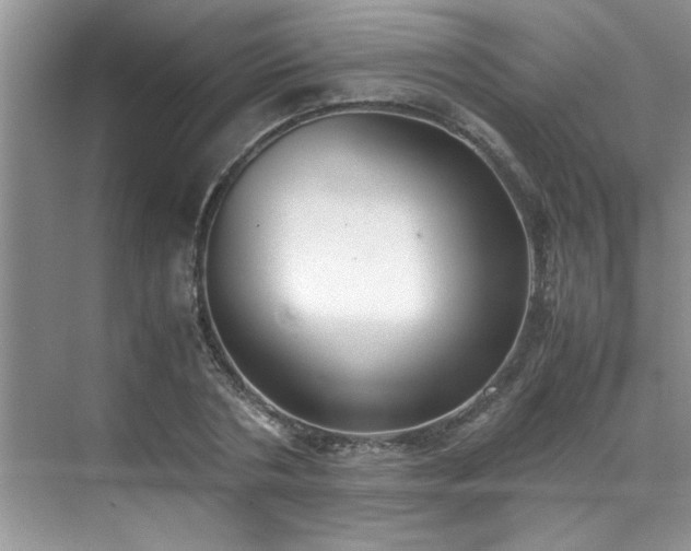 X0000070430786200606161503