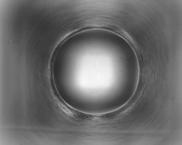 X0000070430787200606161503