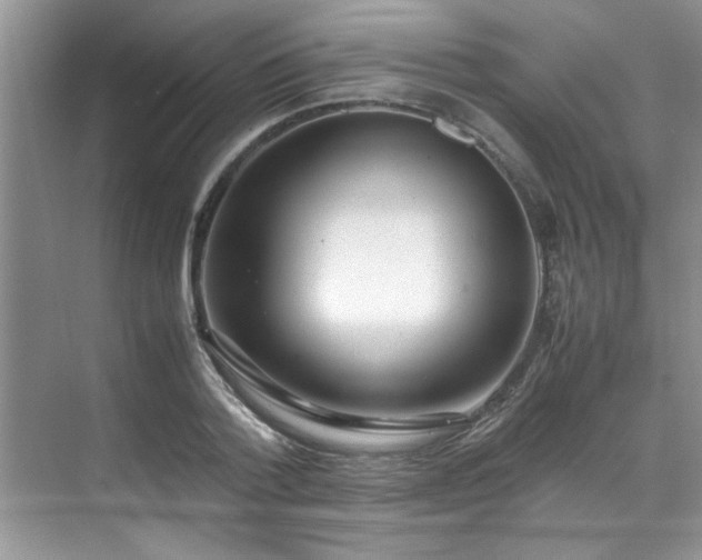 X0000070430788200606161503