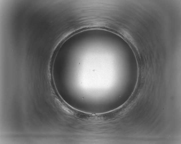 X0000070430789200606161503