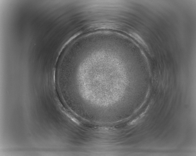 X0000070430790200606161503