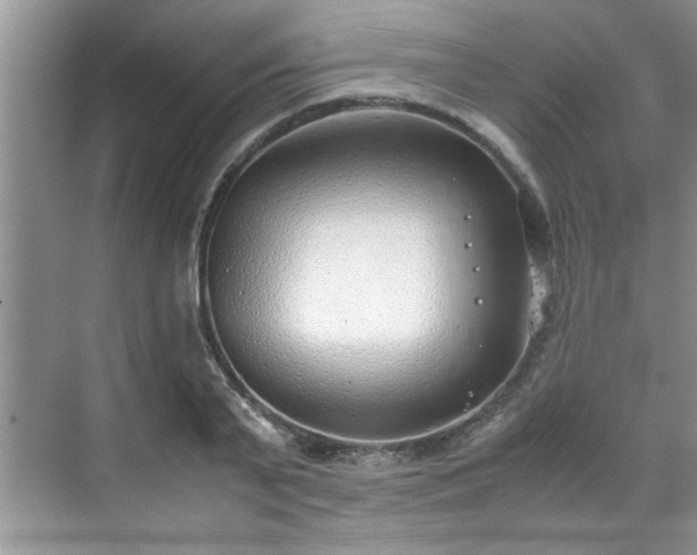 X0000070430791200606161503