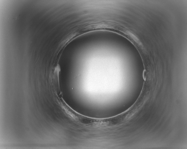 X0000070430793200606161503