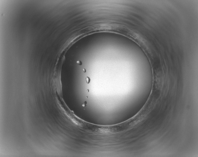 X0000070430794200606161503