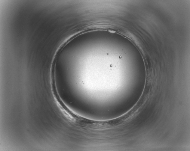 X0000070430795200606161503