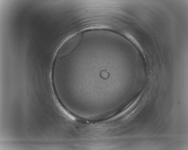 X0000070430797200606161502