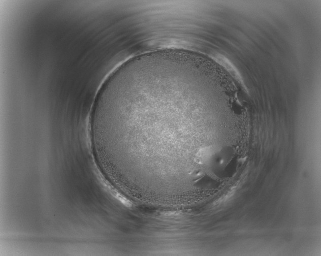 X0000070430798200606161502