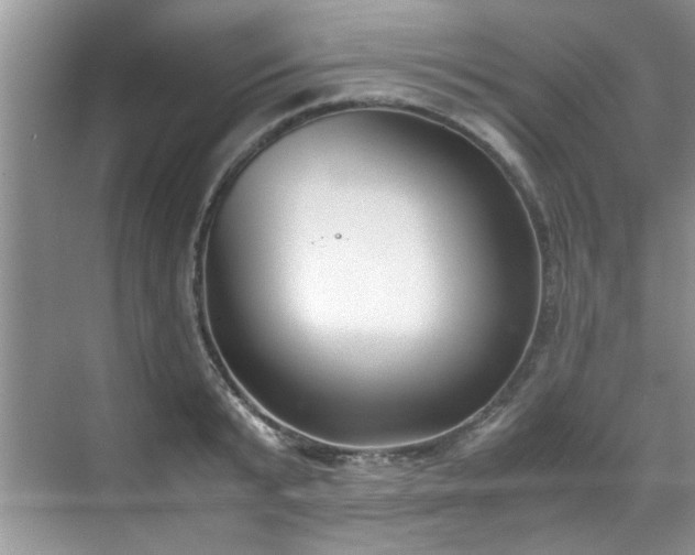 X0000070430799200606161502