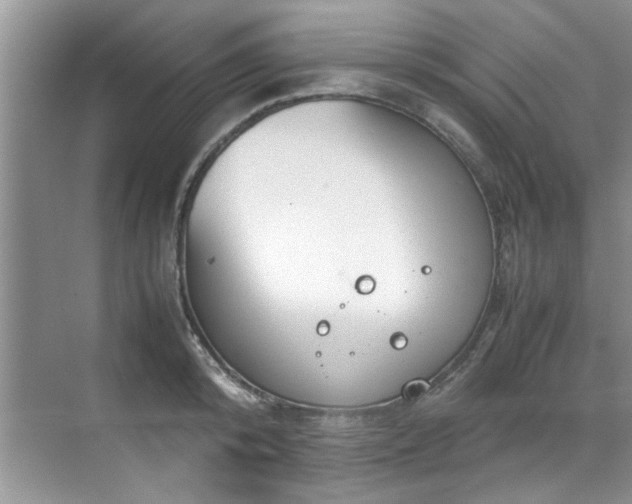 X0000070430800200606161502