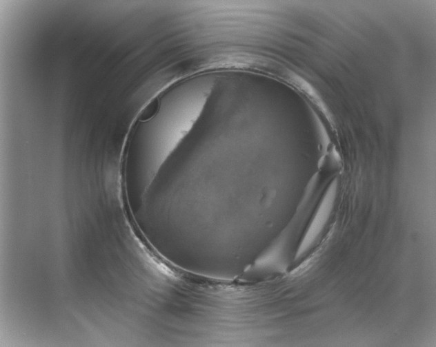 X0000070430802200606161502