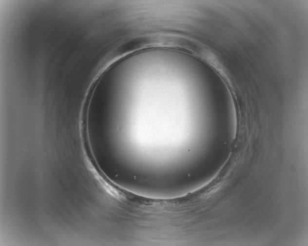 X0000070430803200606161502