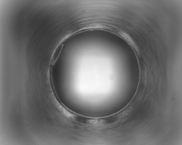 X0000070430805200606161502