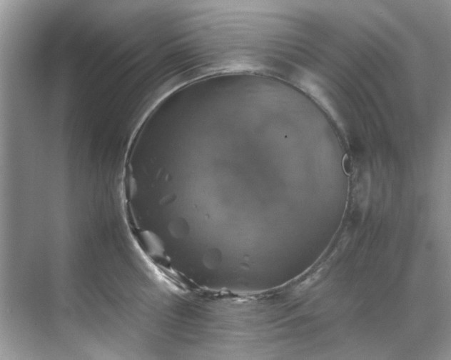 X0000070430810200606161502