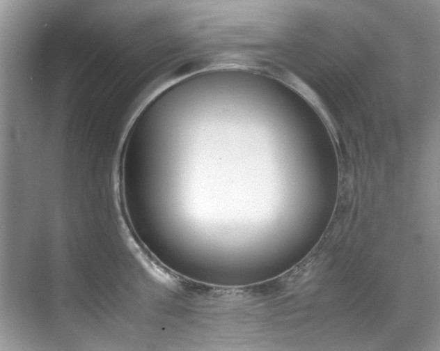 X0000070430811200606161502