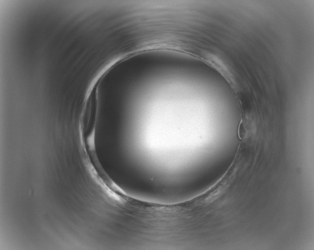 X0000070430812200606161502