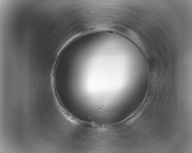 X0000070430814200606161502