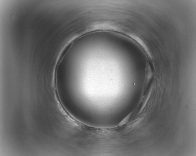 X0000070430815200606161502