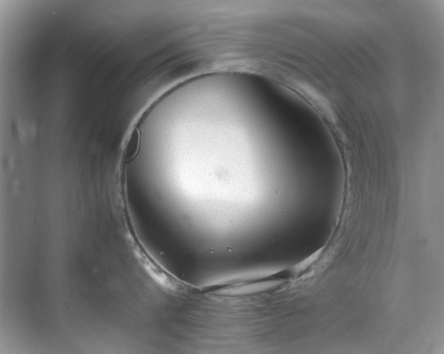 X0000070430816200606161502