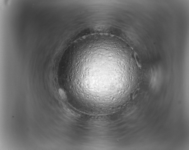 X0000070430817200606161501