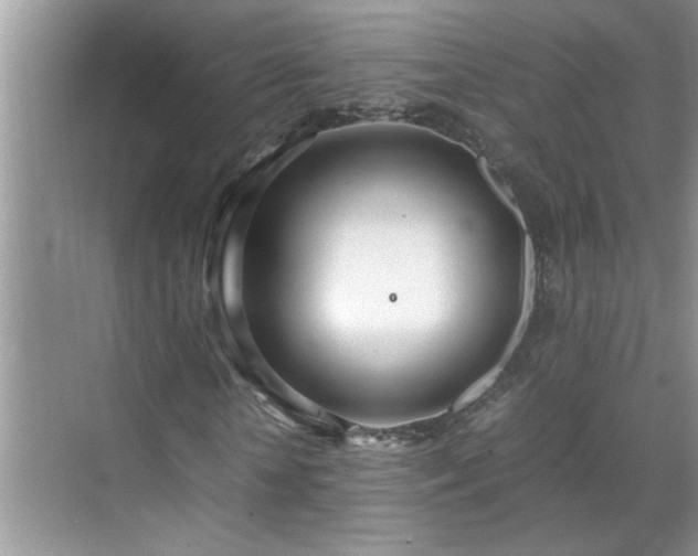 X0000070430818200606161501