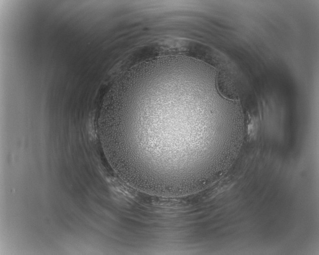 X0000070430819200606161501