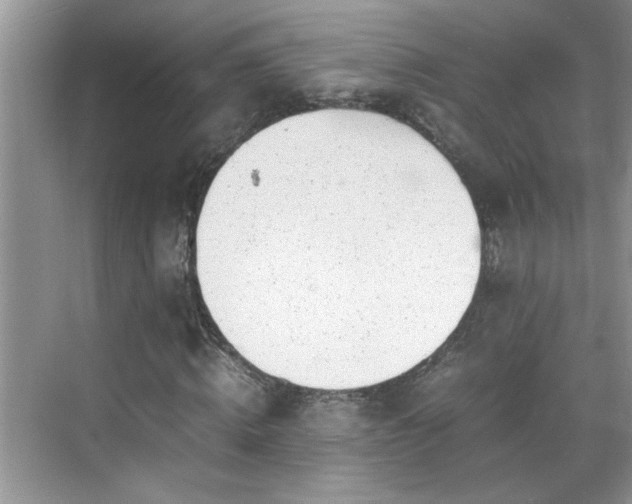 X0000070430820200606161501