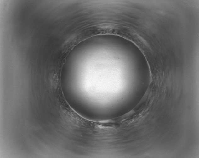 X0000070430821200606161501