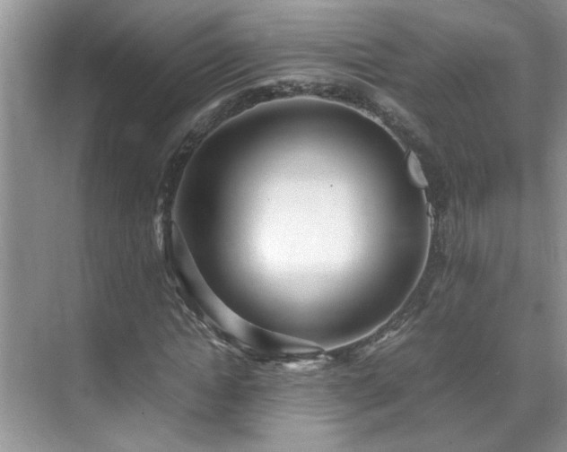 X0000070430822200606161501