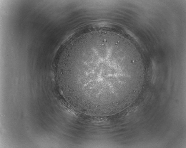 X0000070430823200606161501