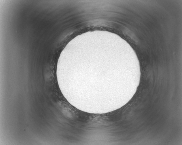 X0000070430824200606161501