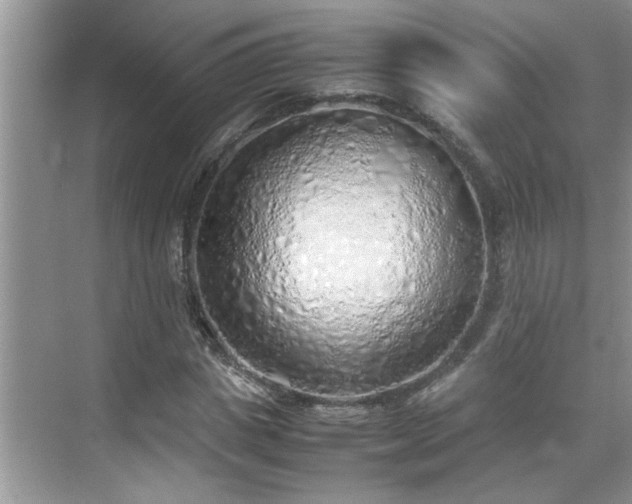 X0000070430825200606161501