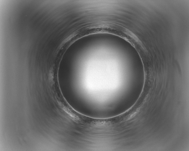 X0000070430826200606161502