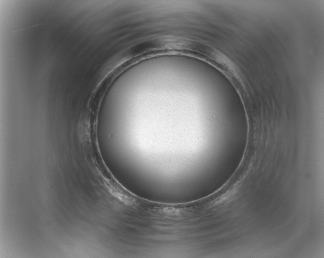 X0000070430827200606161502