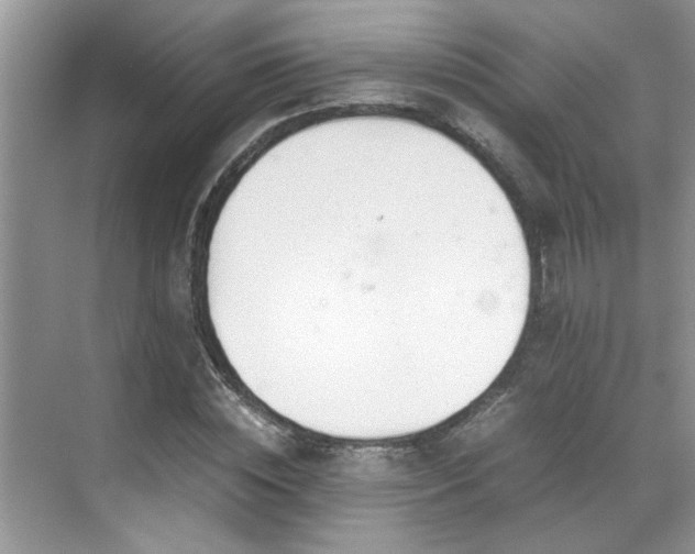 X0000070430828200606161502