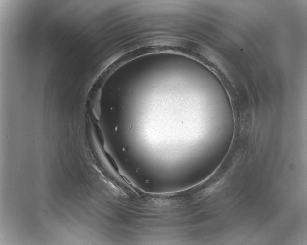 X0000070430829200606161502