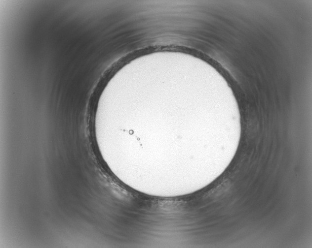 X0000070430832200606161502