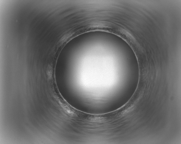 X0000070430833200606161502