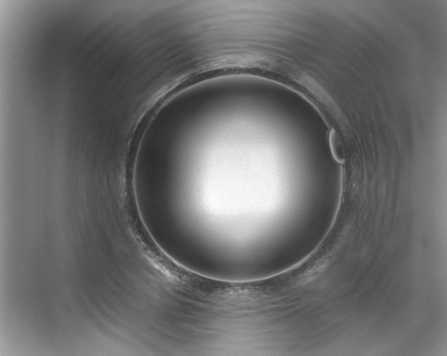 X0000070430834200606161502