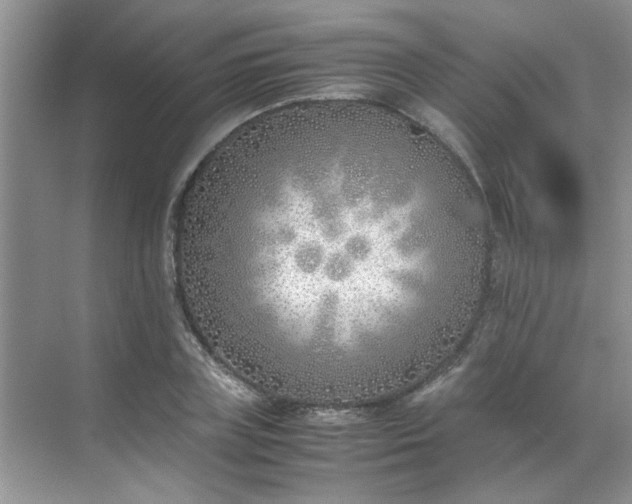 X0000070430835200606161502