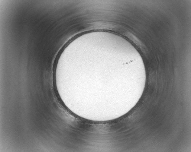 X0000070430836200606161502