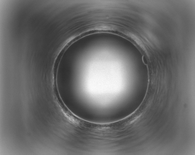 X0000070430837200606161502