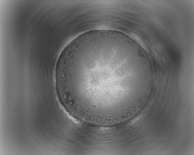 X0000070430839200606161502