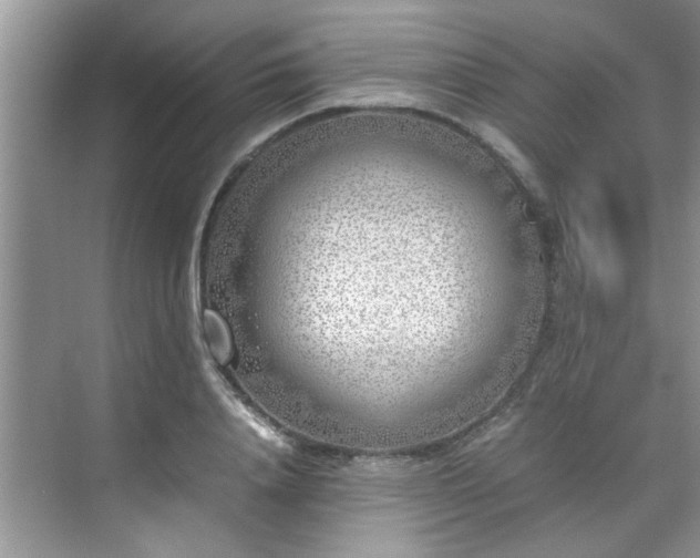 X0000070430840200606161502