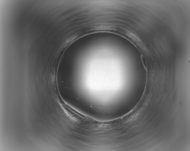 X0000070430841200606161502