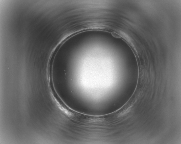 X0000070430843200606161502